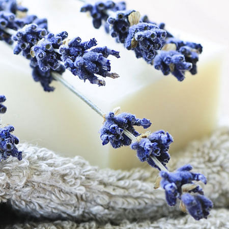 4 lavender infused goodies to try 